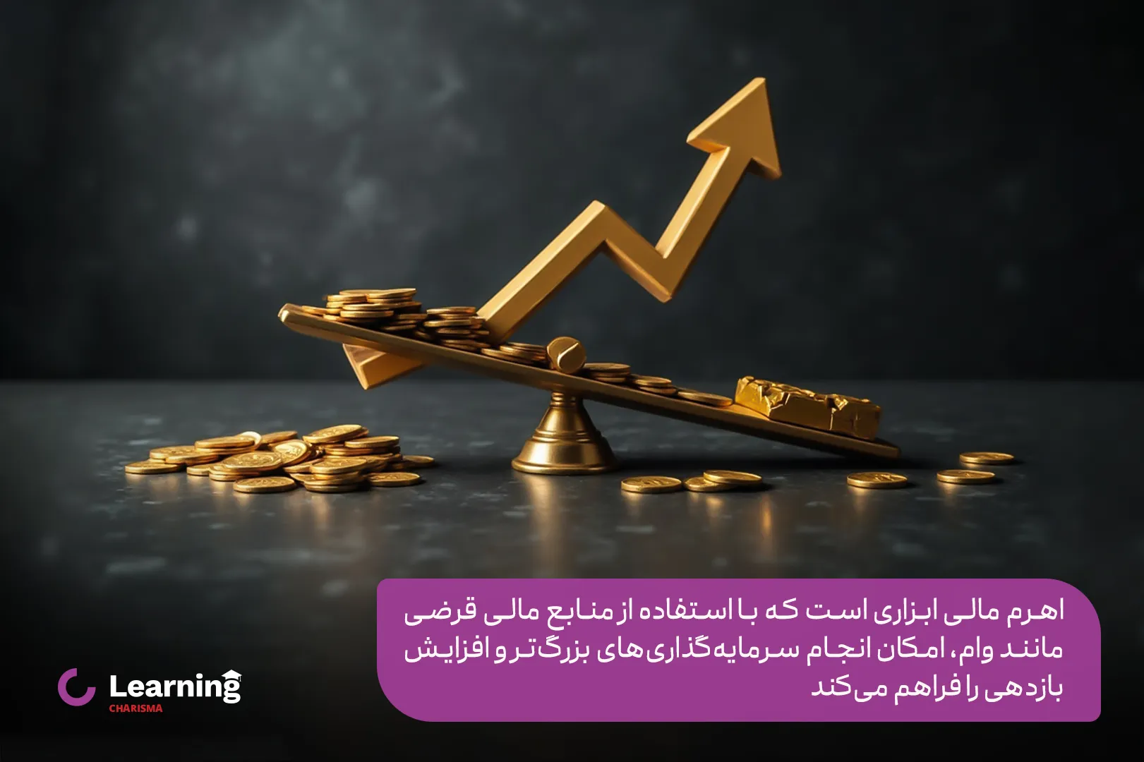 معرفی اهرم مالی