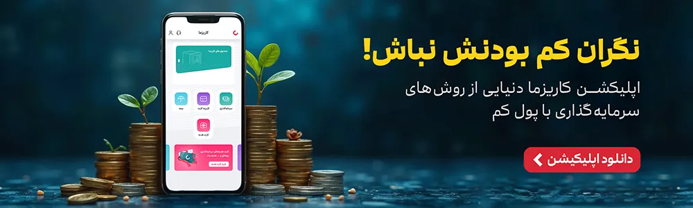 سرمایه‌گذاری با پول کم در کاریزما