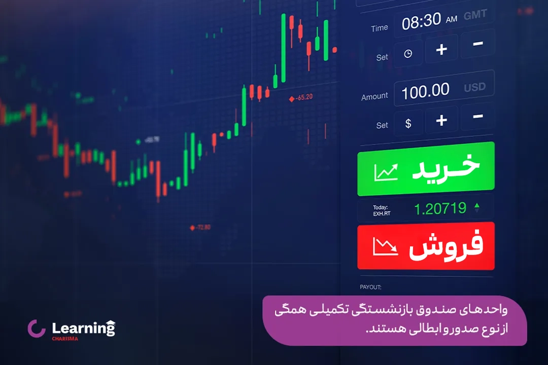 صندوق صدور و ابطال بازنشستگی تکمیلی