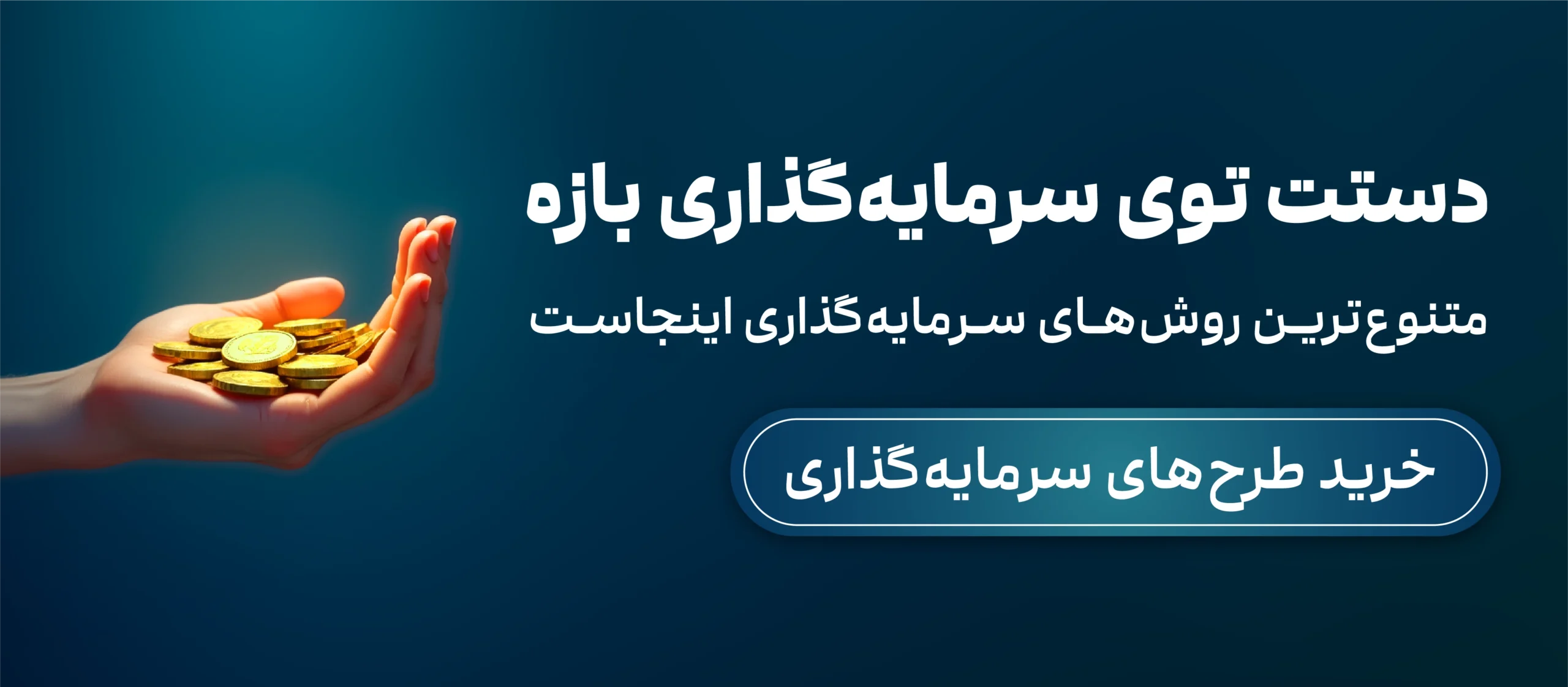 بنر طرح های مختلف سرمایه گذاری در کاریزما