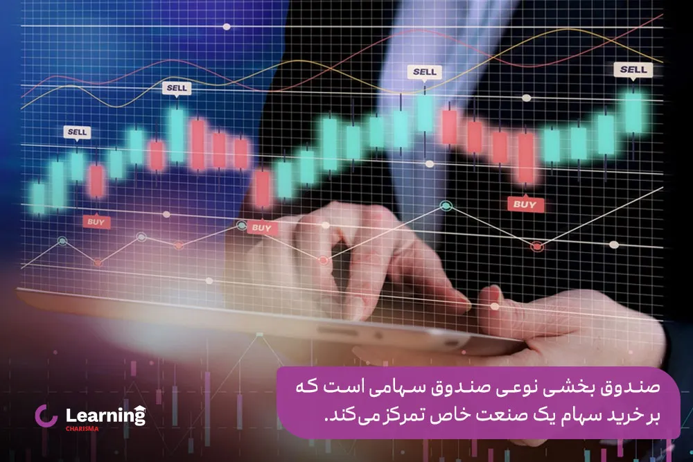 تعریف صندوق بخشی